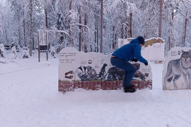 Rovaniemi: Trip to Ranua Zoo with Tickets Included - Entering Ranua Wildlife Park