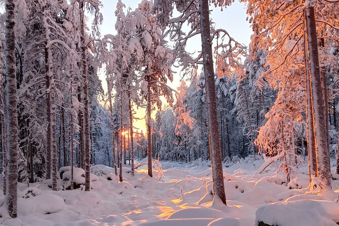 Rovaniemi: Trip to Ranua Zoo with Tickets Included - Three hours at the zoo, used wisely