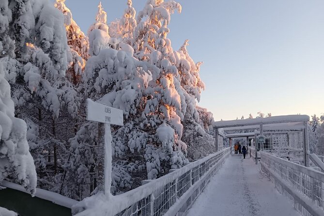 Rovaniemi: Trip to Ranua Zoo with Tickets Included - Timing, weather, and seasonal expectations