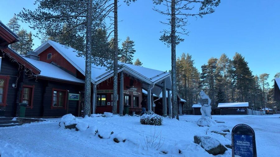 Rovaniemi: trip to the Ranua Zoo (transportation, tickets) - Should you book the Ranua Zoo transfer?