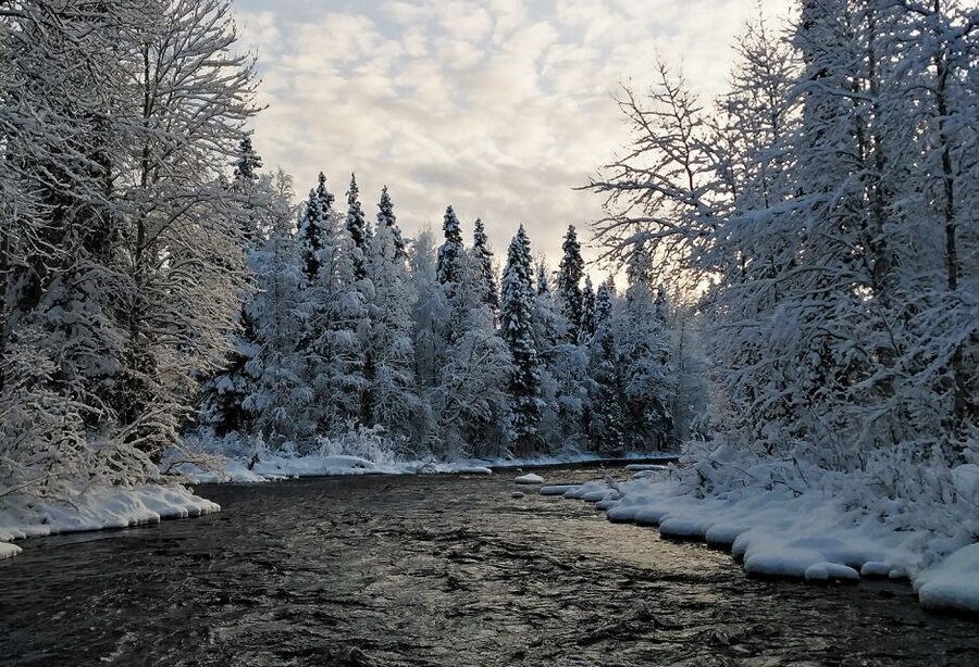Rovaniemi: Vaattunki Hiking Arctic Circle Trail - Who should book this Vaattunki outing?