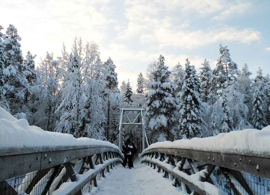 Rovaniemi: Vaattunki Hiking Arctic Circle Trail - What the Vaattunki hike is really like