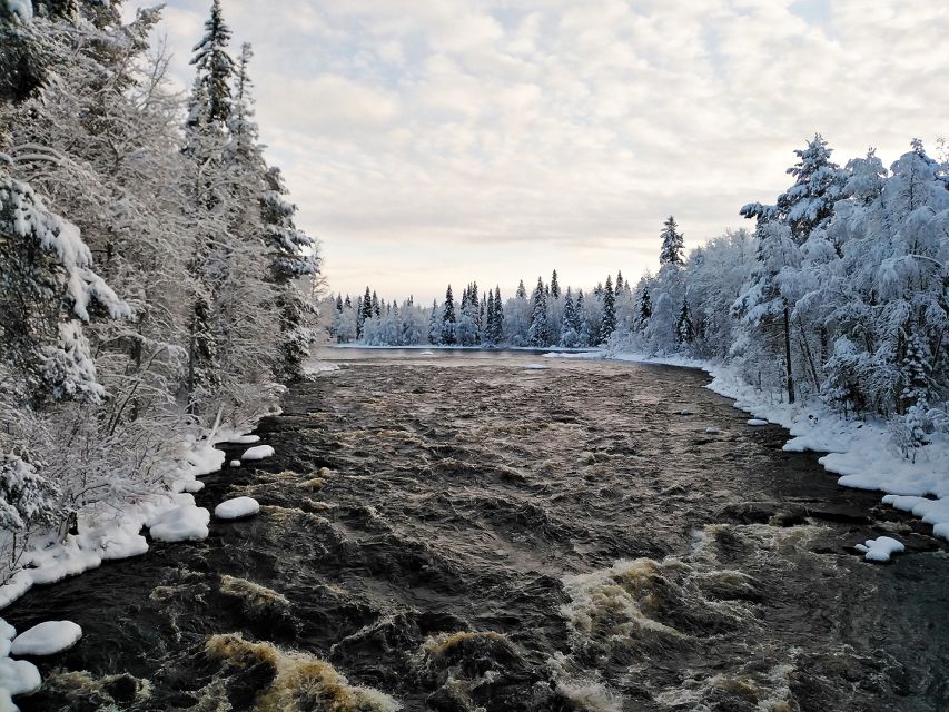Rovaniemi: Vaattunki Hiking Arctic Circle Trail - What guides add to the experience