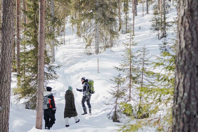 Rovaniemi - Visit to The Frozen Waterfalls of Korouoma - Why Korouoma is worth the long ride from Rovaniemi