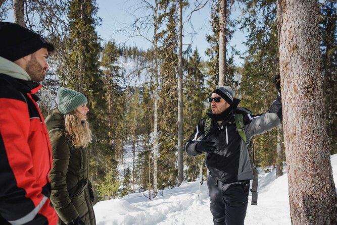 Rovaniemi - Visit to The Frozen Waterfalls of Korouoma - Campfire food at a Finnish lean-to shelter