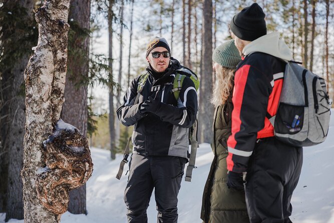 Rovaniemi - Visit to The Frozen Waterfalls of Korouoma - Guides can shape the whole experience