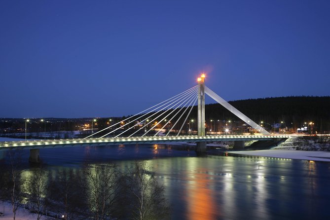 Rovaniemi walking tour and guided Arktikum experience - Arktikum Museum: one hour with a clear focus
