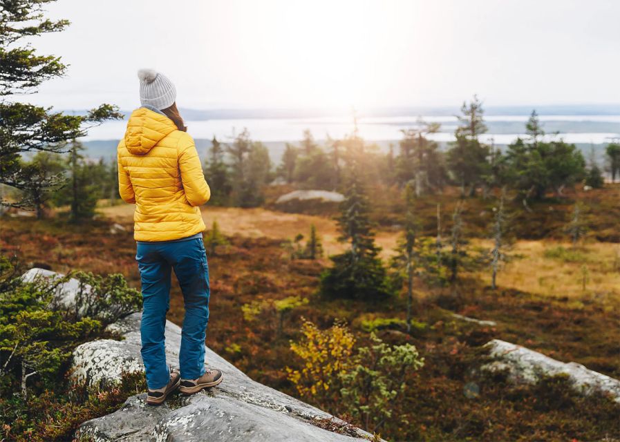 Rovaniemi: Wild Moose Safari - Why sunset is the right time for moose