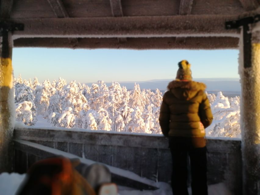Rovaniemi: Wilderness Tour - Who should book this experience?