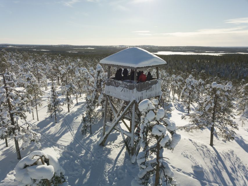 Rovaniemi: Wilderness Tour - Summer forests and fairytale scenery