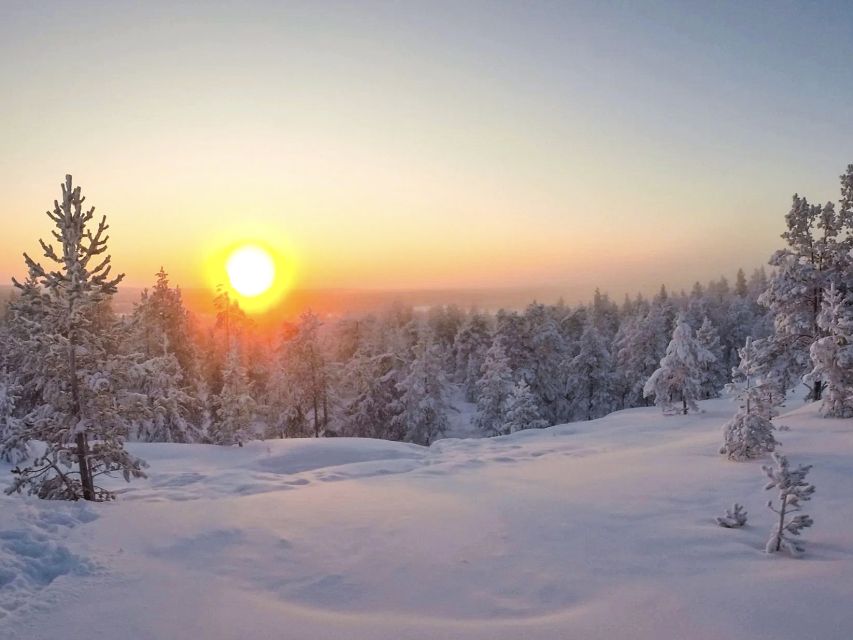 Rovaniemi: Wilderness Tour - How demanding is the walk?