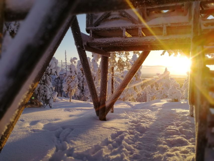 Rovaniemi: Wilderness Tour - Pickup, timing, and group size