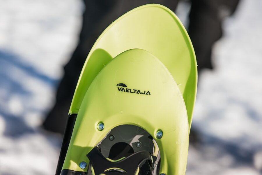Rovaniemi: Winter Wilderness Snowshoeing Trip - A practical three-hour itinerary