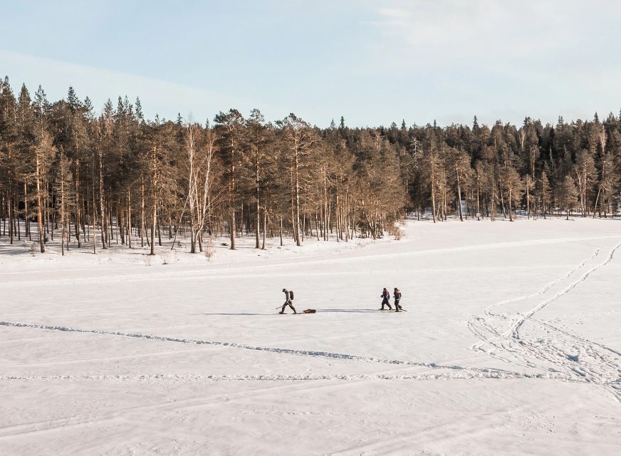 Rovaniemi: Winter Wilderness Snowshoeing Trip - What the $104 price really includes
