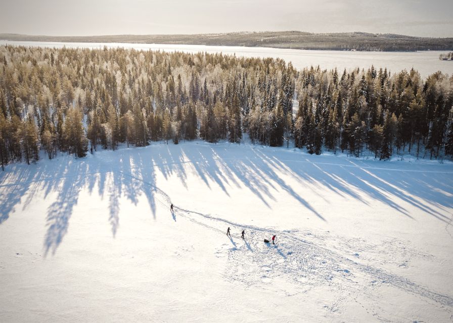Rovaniemi: Winter Wilderness Snowshoeing Trip - Into old forests and silent Arctic scenery