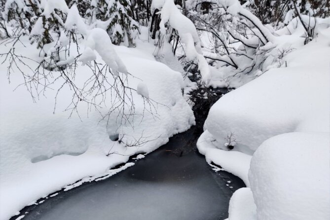 Rovaniemi: Winter Wonderland Vikaköngäs Hiking Tour & BBQ - Key points to know before booking