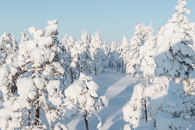 Rovaniemi: Winter Wonderland Vikaköngäs Hiking Tour & BBQ - Leaving Rovaniemi for Vikaköngäs