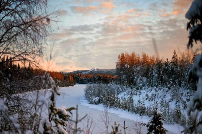 Rovaniemi: Winter Wonderland Vikaköngäs Hiking Tour & BBQ - Vikaköngäs waterfalls and winter views