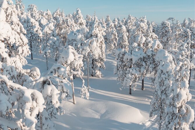 Rovaniemi: Winter Wonderland Vikaköngäs Hiking Tour & BBQ - The campfire barbecue at the end