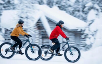 Guided fatbike safari