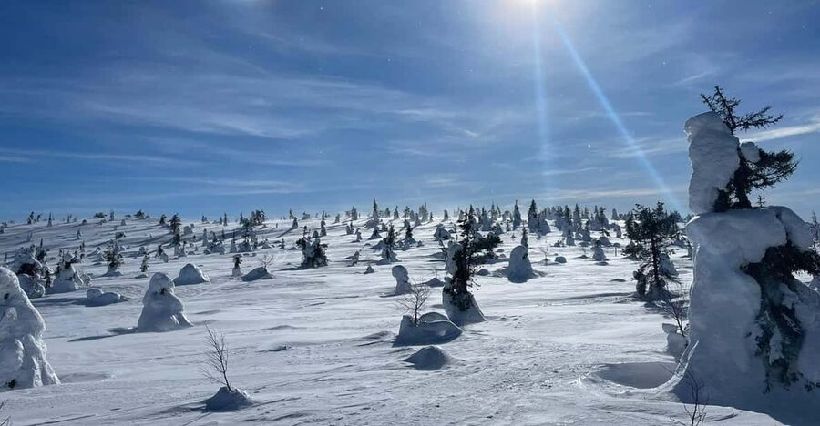Ruka: Riisitunturi National Park with lunch. - Key points to know before booking
