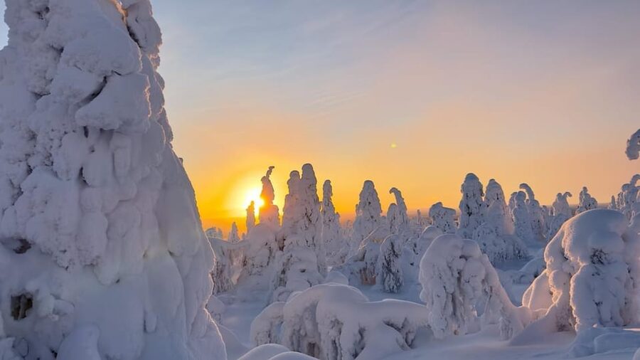 Ruka: Riisitunturi National Park with lunch. - Why Riisitunturi works as a day trip from Ruka