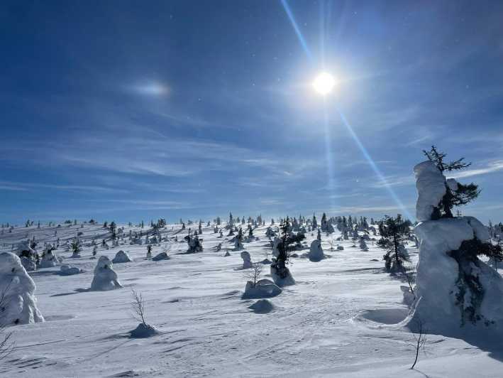 Ruka: Riisitunturi National Park with lunch. - Views, animals, and the pleasure of not rushing