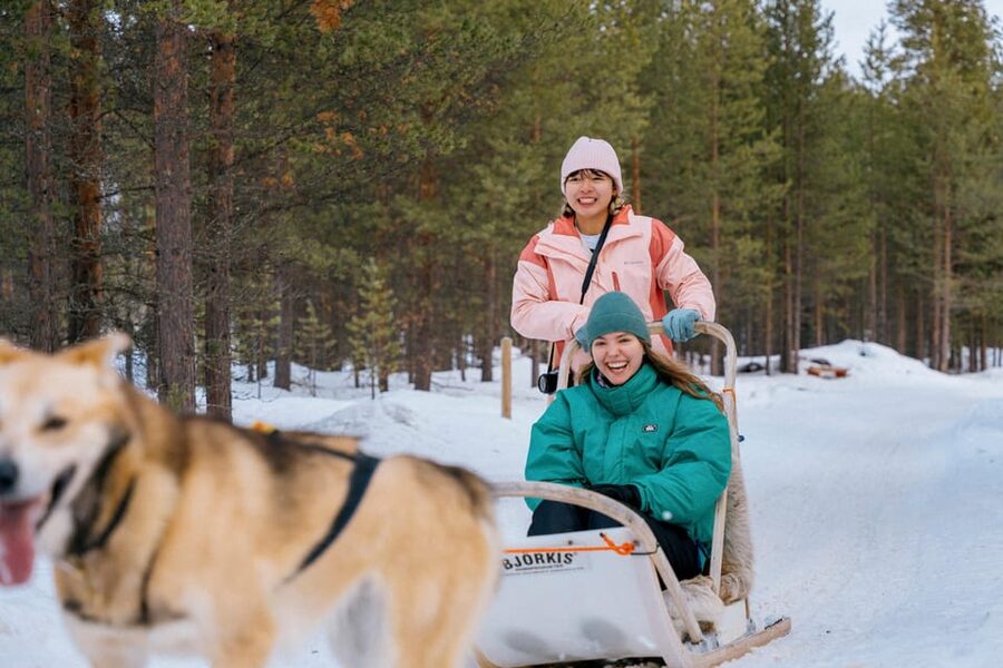 Saariselkä: 10KM Husky Safari with kennel visit - Key points before you book
