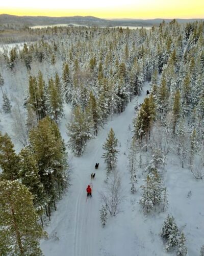 10KM Husky Safari with kennel visit