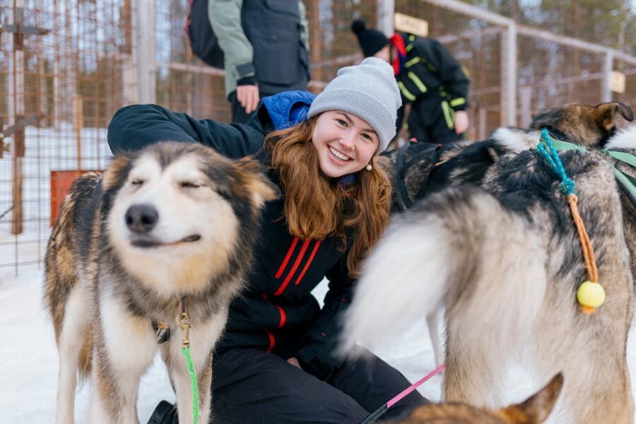 Saariselkä: 10KM Husky Safari with kennel visit - The kennel visit and time with the dogs