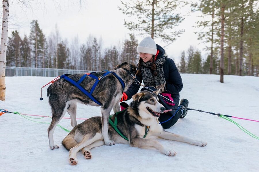 Saariselkä: 10KM Husky Safari with kennel visit - Warming up in the kota