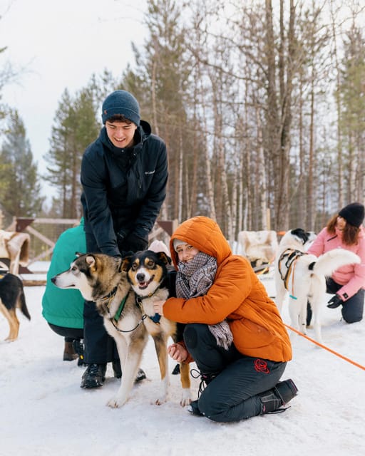 Saariselkä: 10KM Husky Safari with kennel visit - How the $234 price holds up