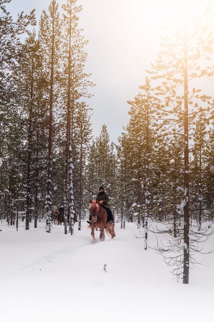 Saariselkä: Arctic Trail Horse Riding Tour - Meeting the Finnish horses and learning the basics