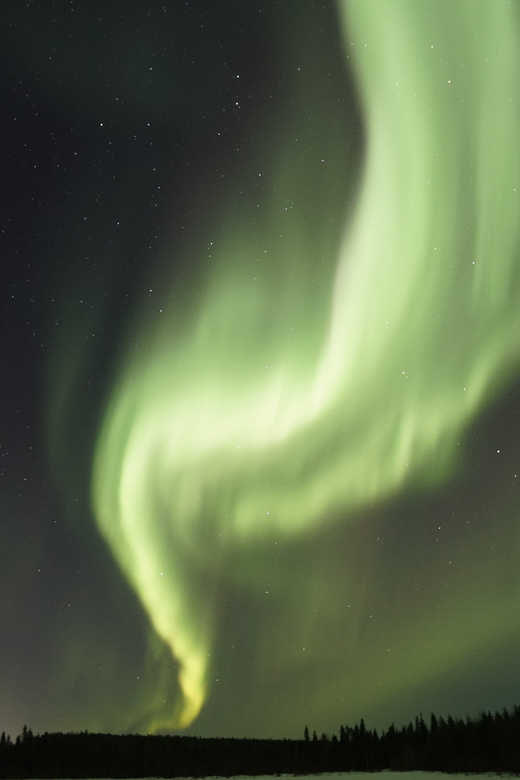 Saariselkä: Aurora Photo Tour by Car with Transfer & Drinks - Making the most of the photo element