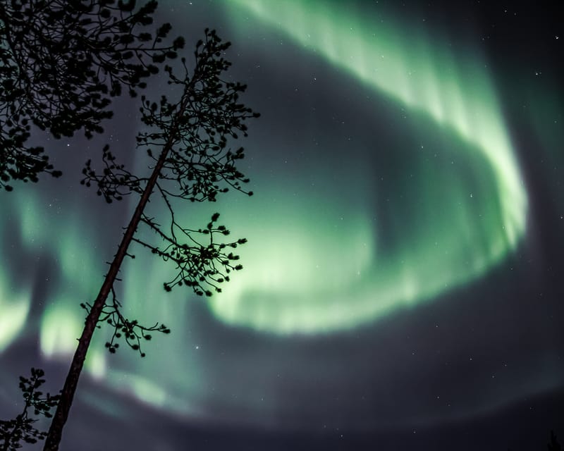 Saariselkä: Aurora Photo Tour by Car with Transfer & Drinks - What happens when the aurora does not appear