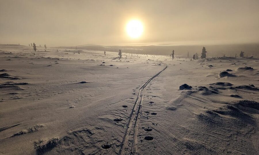 Saariselkä: Back-Country Skiing Guided Tour - At a Glance