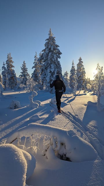 Saariselkä: Back-Country Skiing Guided Tour - Why Back-Country Skis Make a Difference