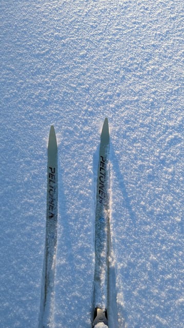Saariselkä: Back-Country Skiing Guided Tour - Watching for Birds, Rabbits, and Reindeer