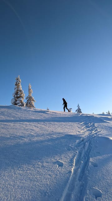Saariselkä: Back-Country Skiing Guided Tour - What the Guide Adds