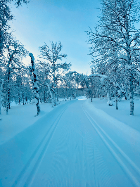 Saariselkä: Cross-Country Skiing for beginners - Who will enjoy this beginner lesson most