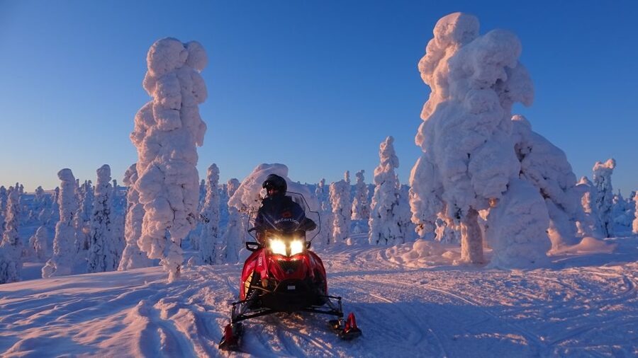 Saariselkä: Evening Snowmobile Tour with Fire & picnic - Riding through forest, swamps, and hills