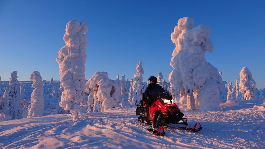Saariselkä: Evening Snowmobile Tour with Fire & picnic - Who will enjoy this evening most