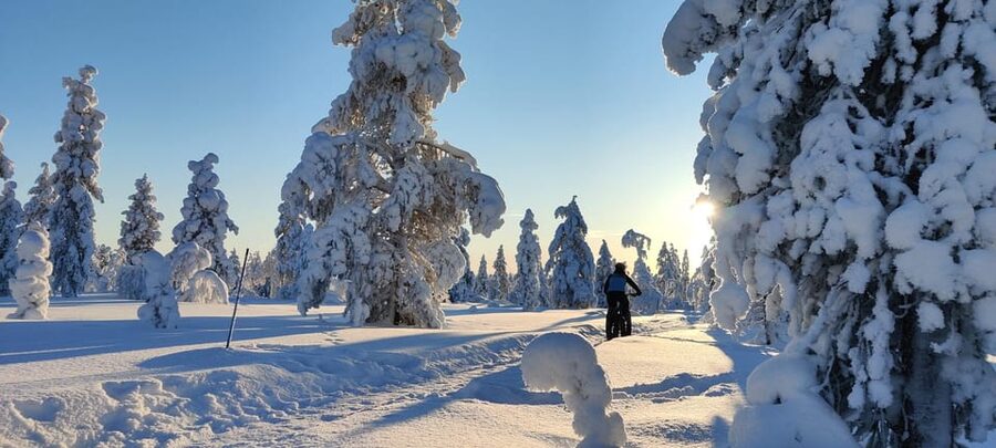 Saariselkä: Guided Fatbike Tour - Key points to know