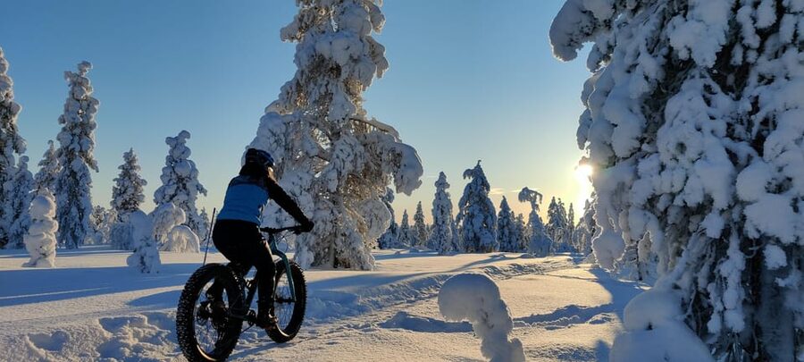 Saariselkä: Guided Fatbike Tour - Choosing an e-fatbike or bio fatbike