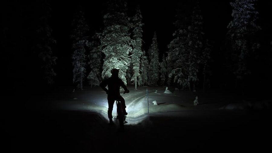 Saariselkä: Guided Fatbike Tour - Forest trails for a gentler two-hour outing