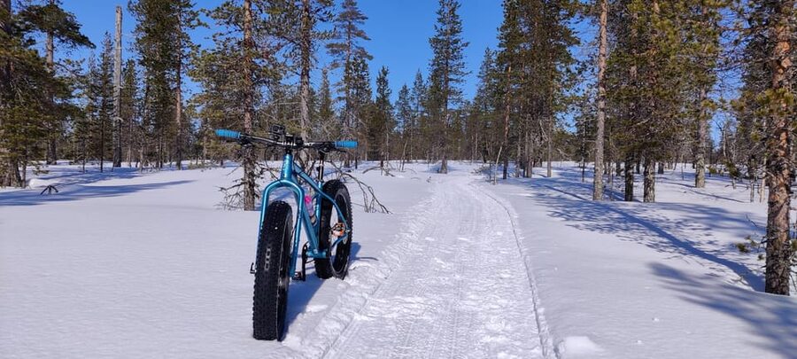 Saariselkä: Guided Fatbike Tour - Evening rides and changing winter conditions