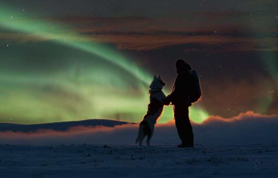 Saariselkä: Husky Safari with Aurora Borealis Hunt - Key points at a glance