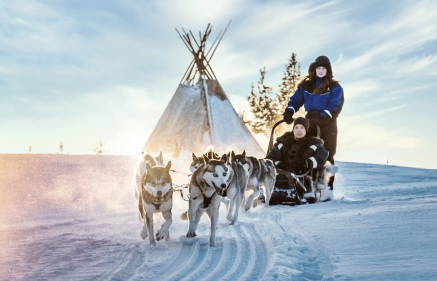 Saariselkä: Husky Safari with Aurora Borealis Hunt - Starting from Saariselkä in supplied winter gear