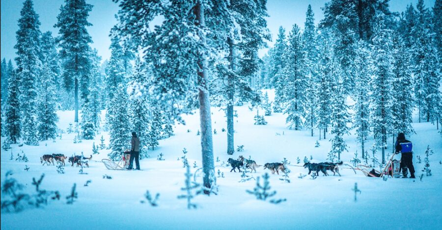 Saariselkä: Husky Safari with Aurora Borealis Hunt - Meeting the huskies and learning the controls