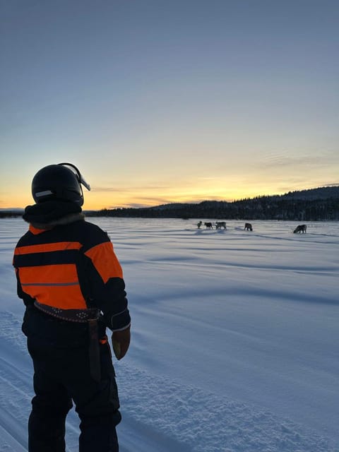 Saariselkä: Ice Fishing Tour to Lake Inari, reindeers& lunch - Meeting reindeer on a small private island
